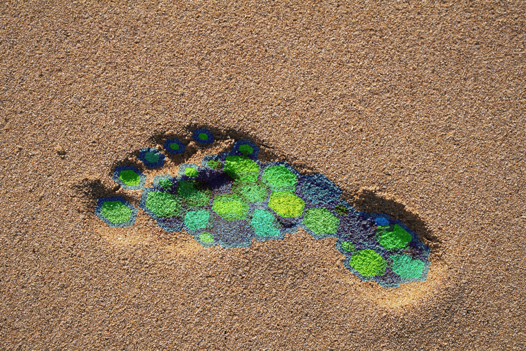Webinar: Learn about the CFP 2023 Survey image